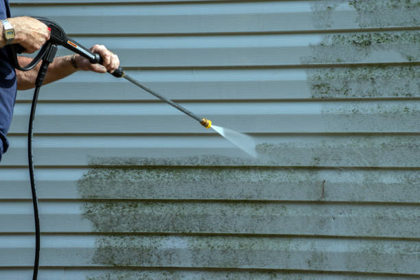 Best Patio and Deck Pressure Washing  in Napervle, IL